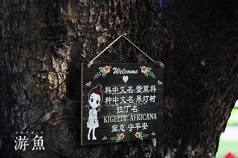 超三国无双6