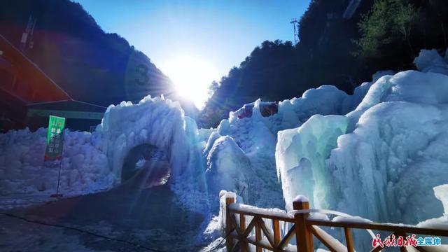 ”见行见效 津彩绽放”活动参赛作品:元旦合唱