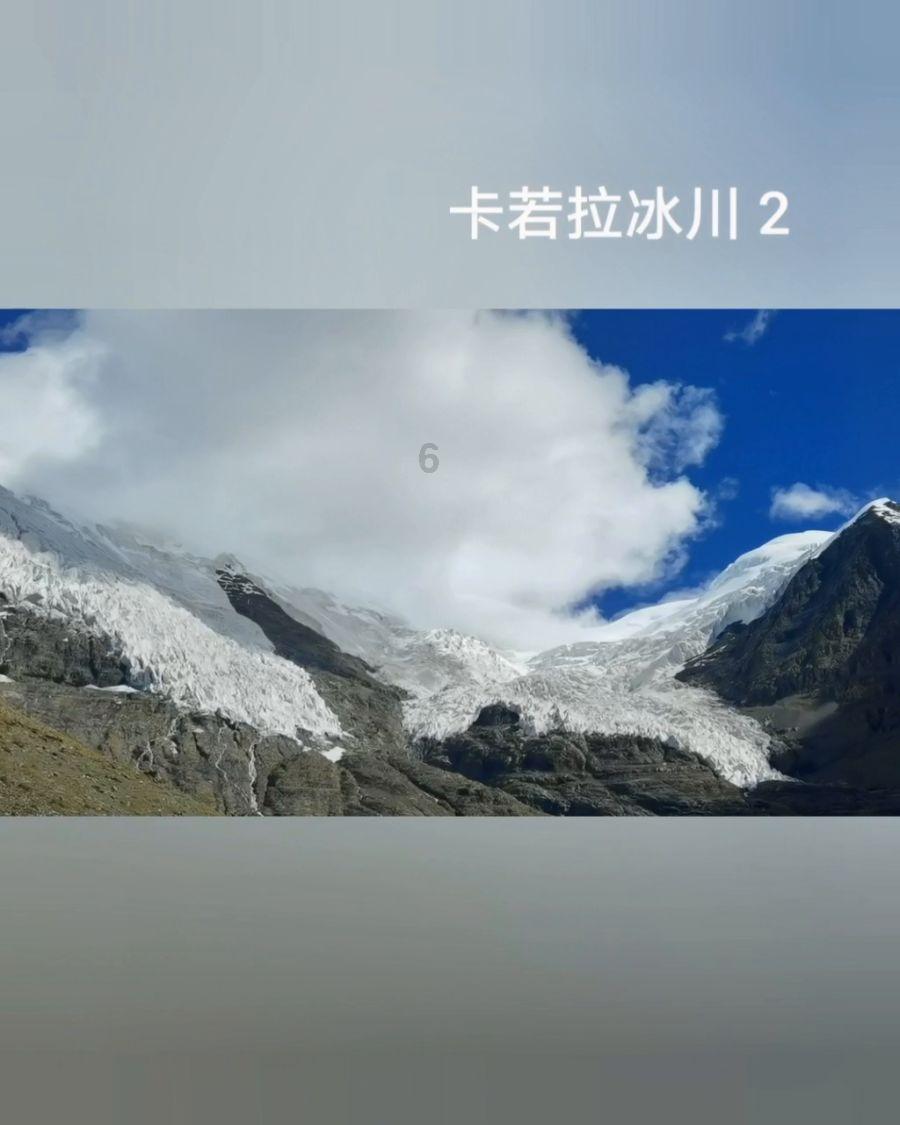 诱捕小浣熊