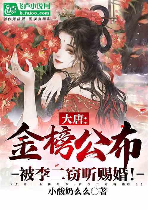 探讨古罗马时期，西方社会选举制度和竞选活动是如何进行的